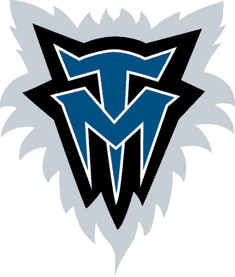 Minnesota Timberwolves 1996-2007 Alternate Logo iron on paper